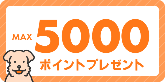最大5000ポイントプレゼント